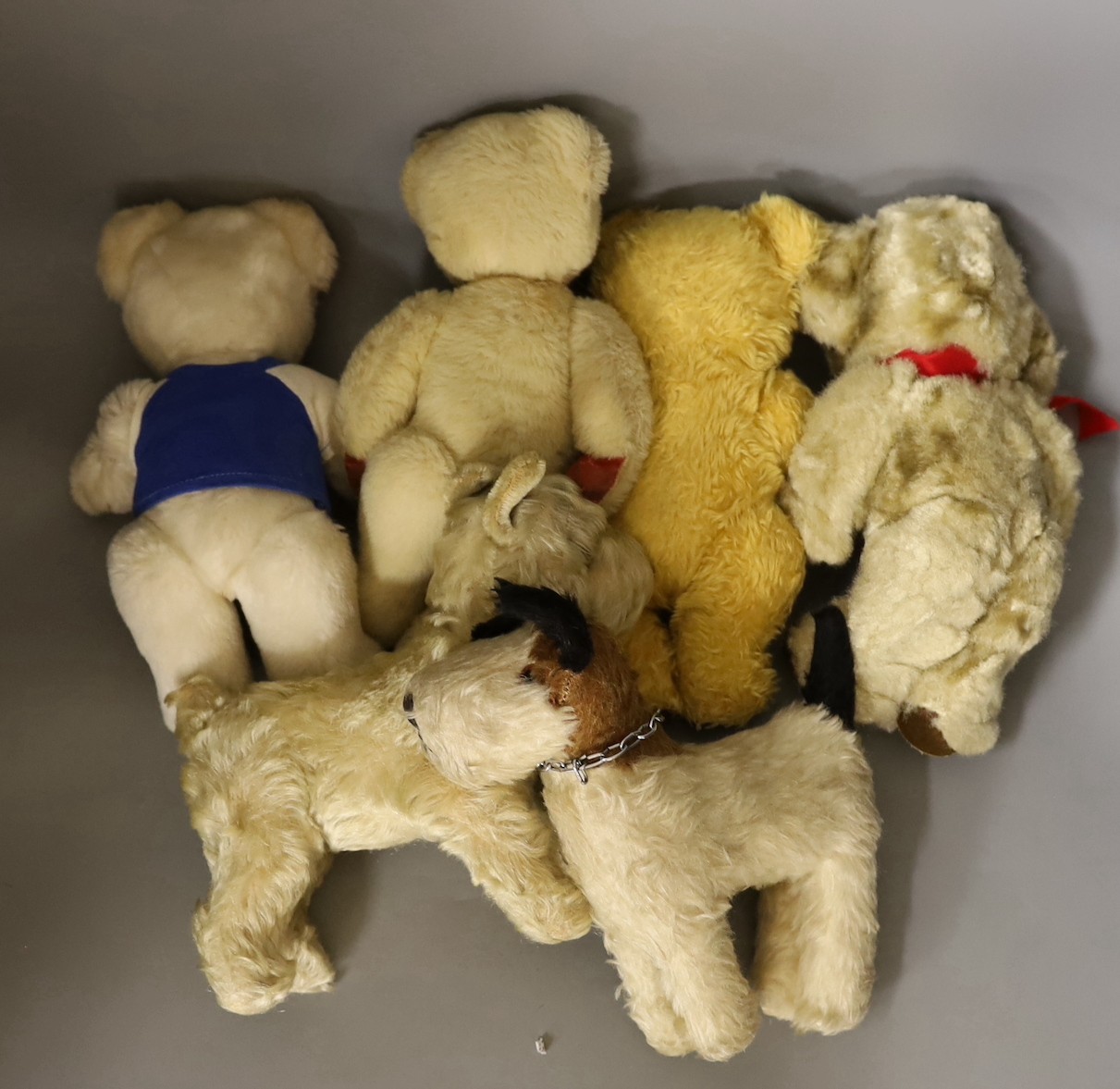 A group of various teddies